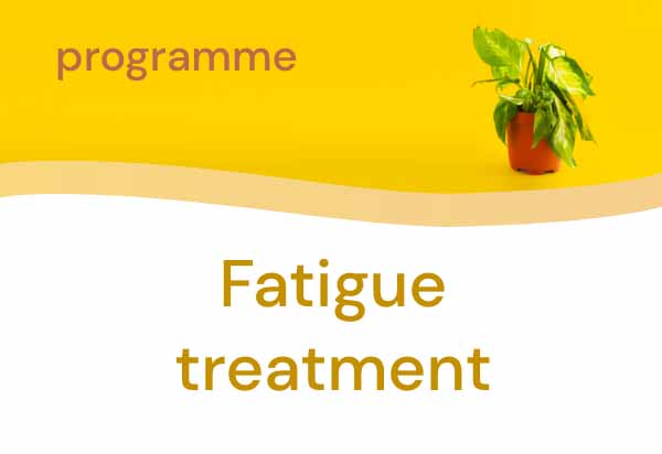 Programme - Fatigue treatment