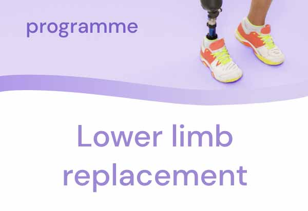 Programme - Lower limb replacement